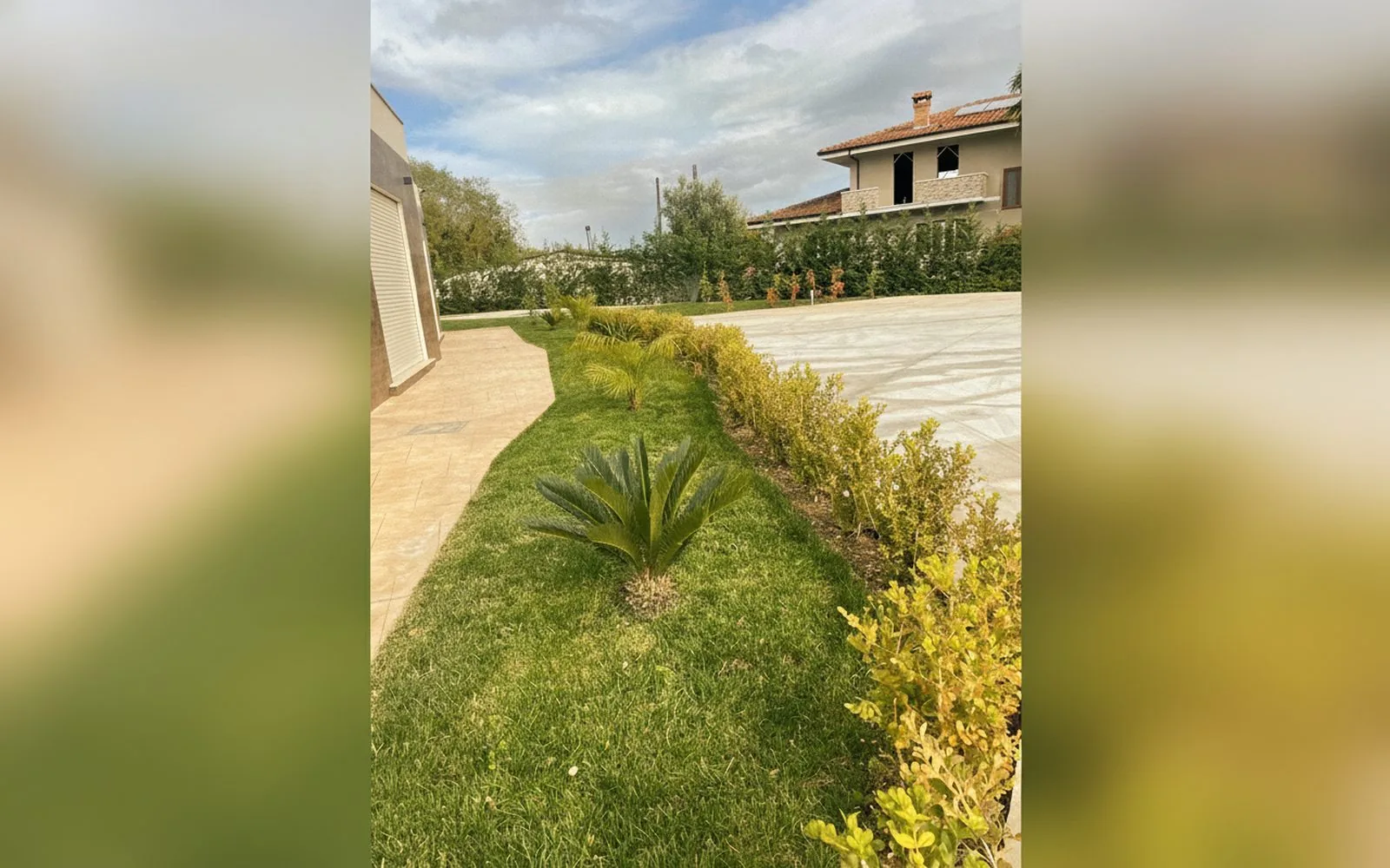 L'eden di Nicolas,  (Calabria) — galleria foto 30
